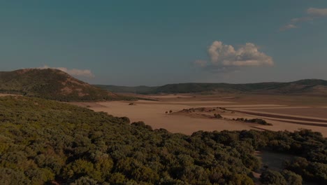 Absteigende-Drohnenaufnahme-Aus-Der-Luft,-über-Einem-Grünen-Wald,-Der-In-Richtung-Ebenen-Mit-Trockenem-Gras-Fliegt,-Farblich-Abgestuft