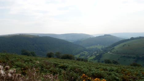 misty morning mountain valley landscape view across rural scenic hiking hills countryside