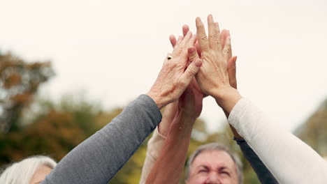 high five, partnership and a group of senior