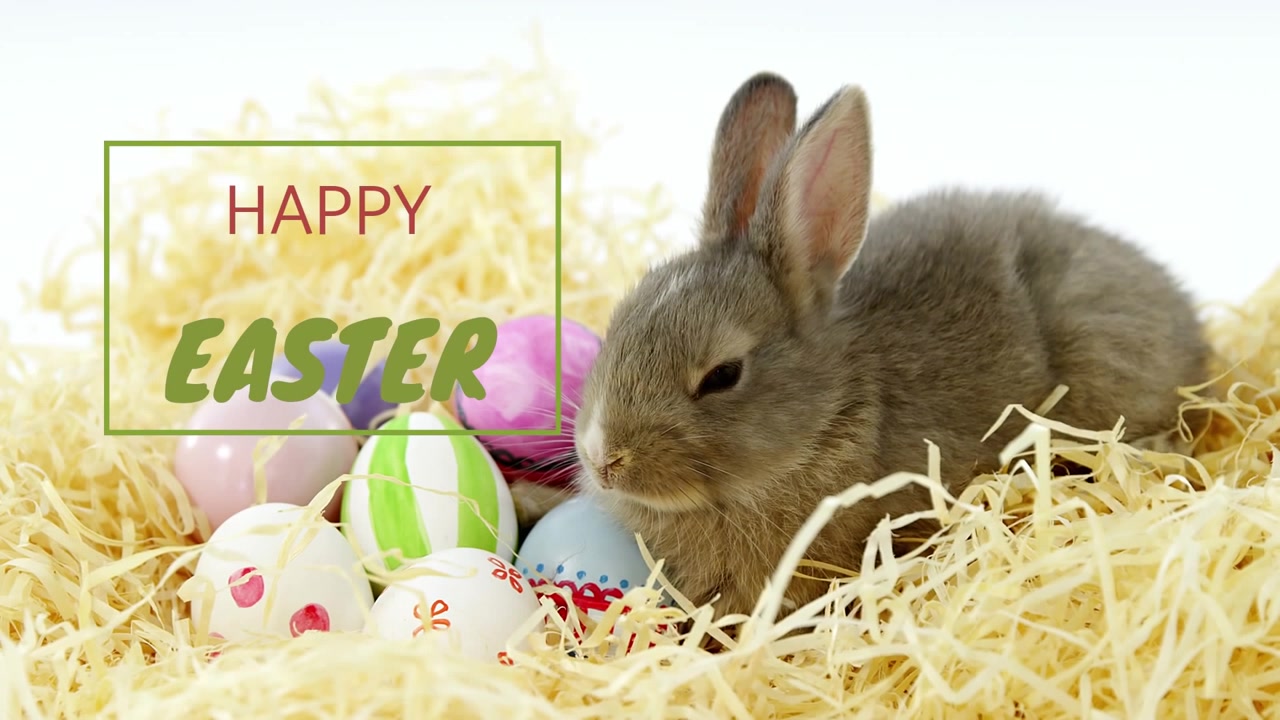 Linea verde che appare a sinistra, espandendosi in una scatola con la scritta "HAPPY EASTER" mentre un coniglio ammicca, scomparendo per un biglietto di Pasqua