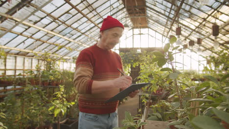 hombre mayor supervisando las plantas en el invernadero de flores
