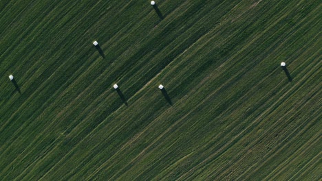 vista aérea de un paisaje rural con campo verde fresco y balas de heno secas durante la cosecha. tiro.