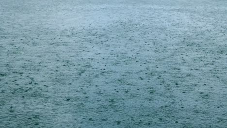 rainy season in tropical countries. tropic rain in wet season in thailand