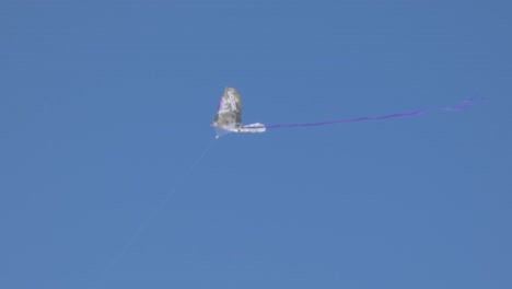 flying a kite on a windy day with blue skies