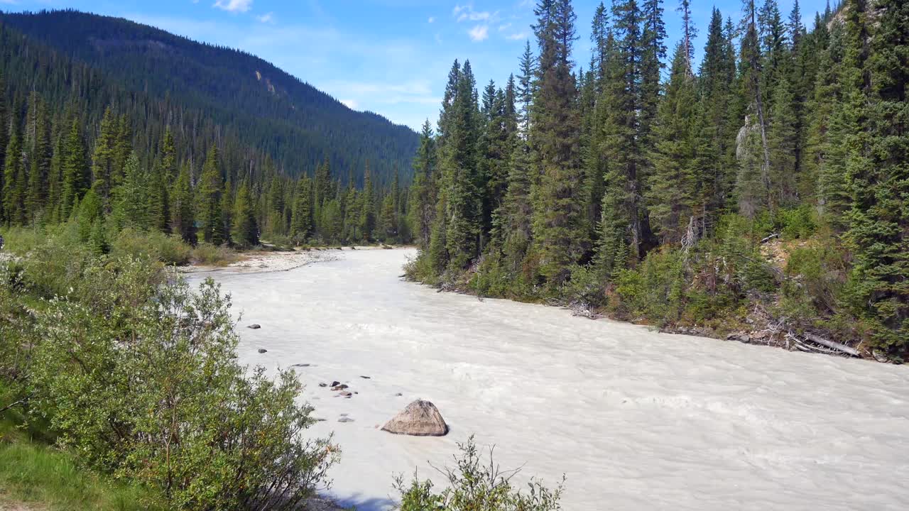 pov río blanco desde las cataratas de agua takakkaw en el parque nacional de banff, alberta, canadá- río de verano desde la montaña rocosa entre bosques de pinos