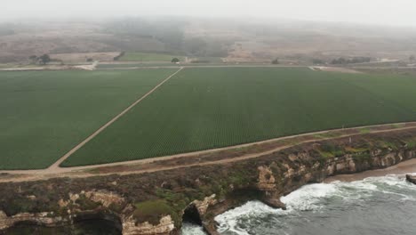 Aerial-view-of-Farm-off-the-coast-off-of-High-way-1-in-Northern-California