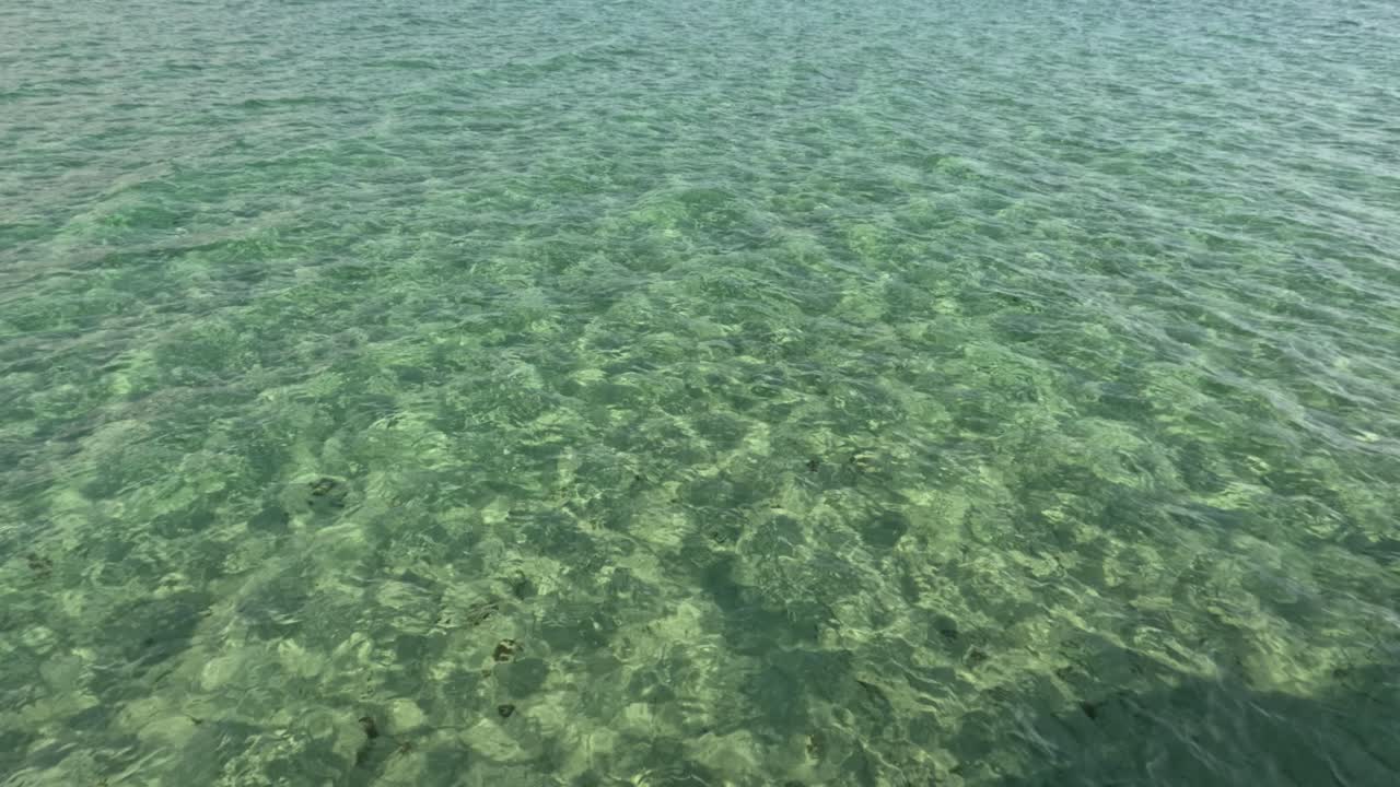 고 초록색 물 표면 위에 파동하는 파도