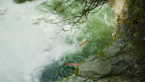 Power-of-water-flowing-from-waterfall-carrying-tree-trunks