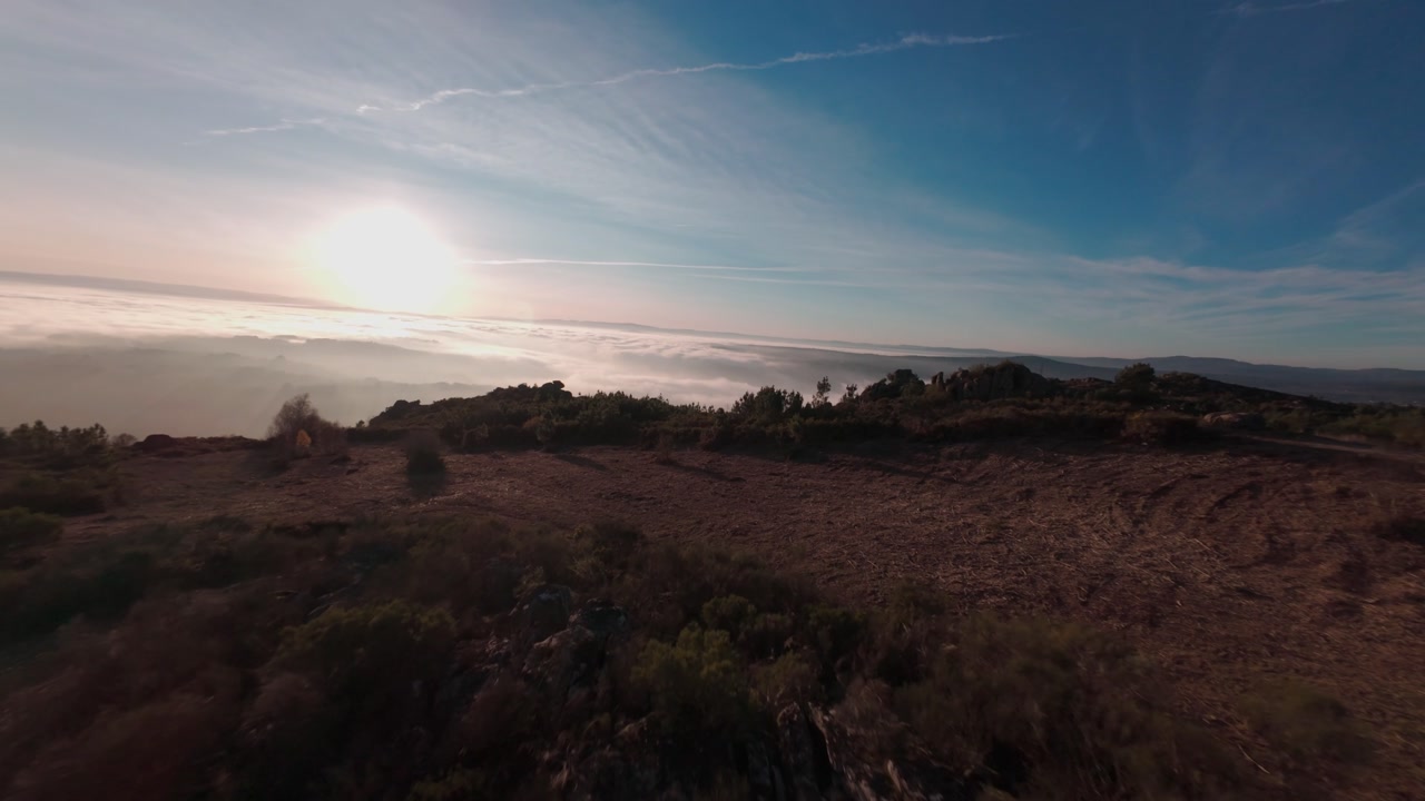 Deforested Area Next To A Path Close To A Pine Tree Fores Aerial View