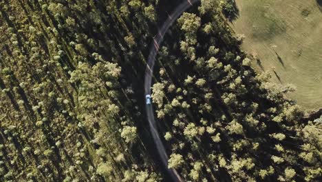 car driving on path in middle of forest