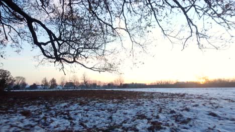 snow covered fields and trees in english nature