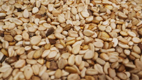 white dried sesame seeds rotating close-up macro. super food. sprinkles for food.healthy concept. .healthy concept. high quality 4k footage