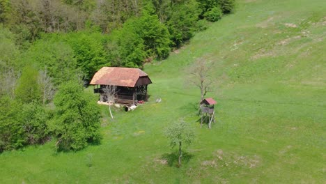 Old-hay-barn-with-hunting-lookout-beside-tree