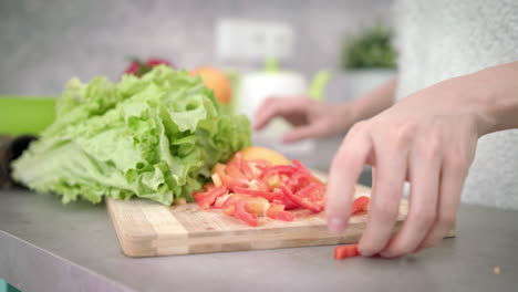 woman cooking vegetables salad. cooking healthy food. woman preparing dinner