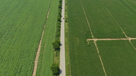 El-Coche-Conduce-Por-Una-Carretera-Recta-Entre-Campos-Agrícolas-Verdes-Vista-Aérea