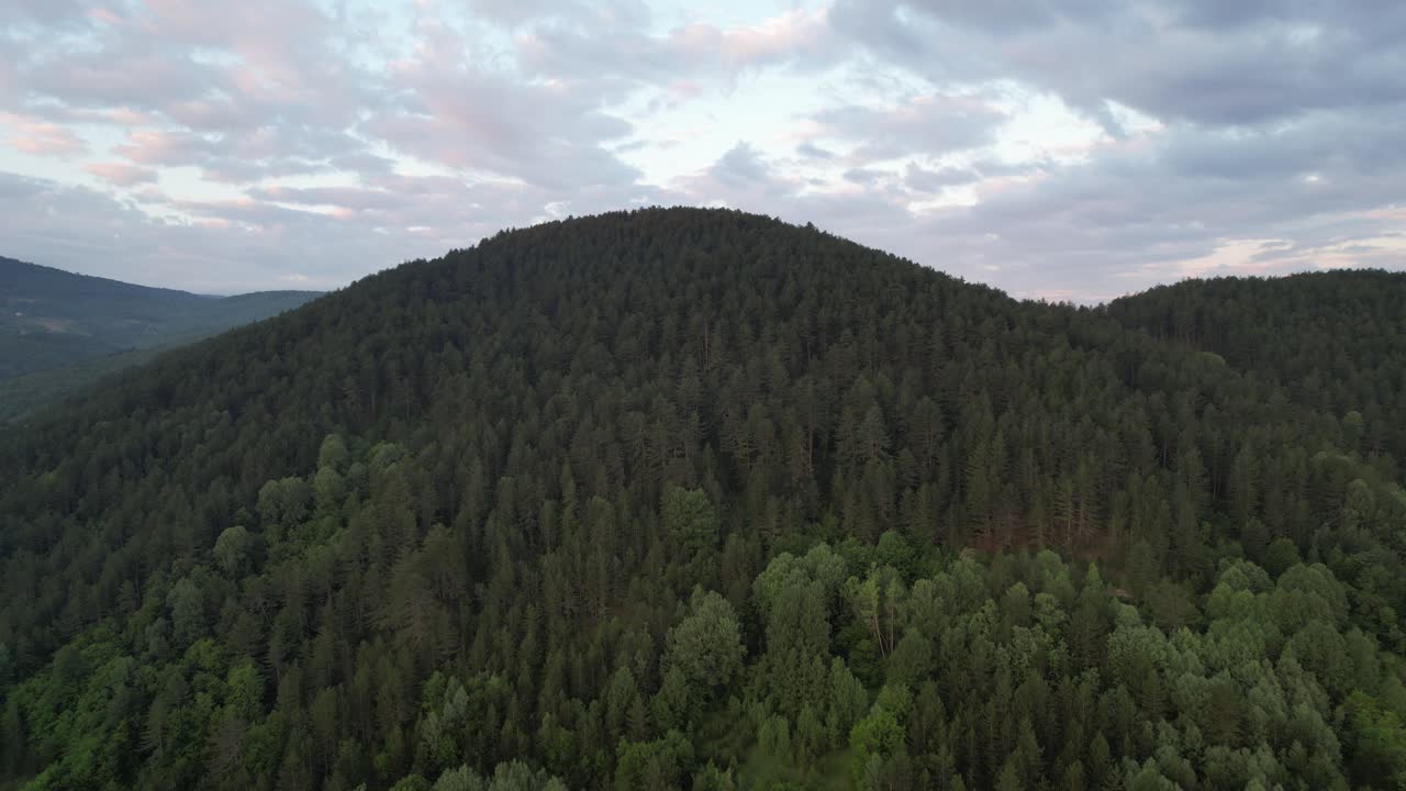 Vista aerea con drone di una foresta fitta.