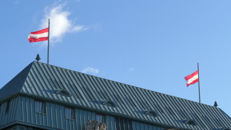 austrian flags waving on roof against blue sky