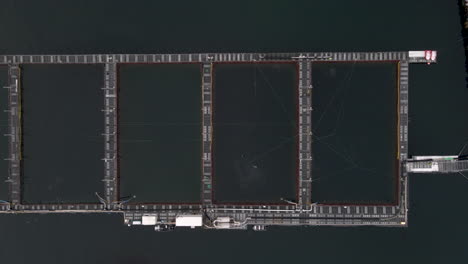 Rectangular-marine-pens-of-salmon-farm,-top-down-drone-view