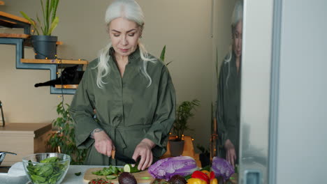 senior woman preparing a healthy vegetable salad