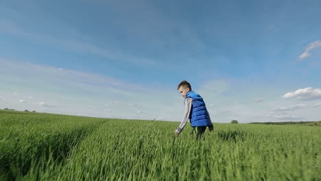 Boy Running Down A Meadow. Cute child running on green grass under sunlight