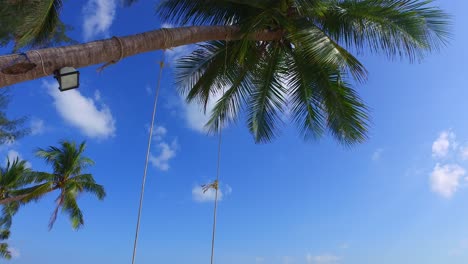 low-angle-view-of-the-palm,-tilting-down-shot-reveals-an-empty-swing-and-white-sand-beach