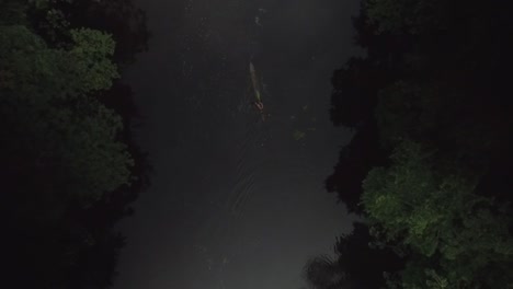 aerial view of an indigenous person paddling a canoe in a rainforest river