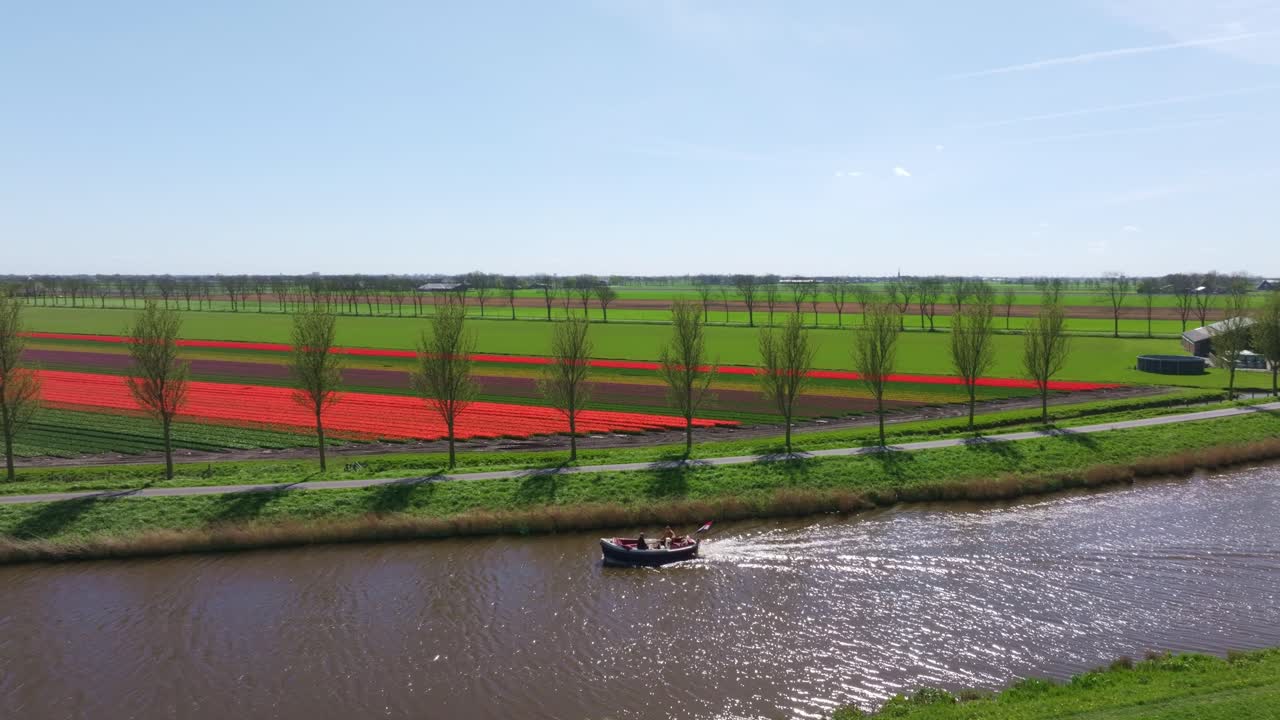 Barca in un canale tra campi di tulipani colorati, Schermerhorn, Paesi Bassi