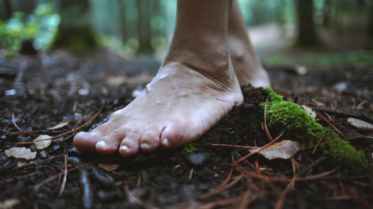 Piedi che scendono, le dita toccano il suolo della foresta e premono nel muschio per continuare a camminare.