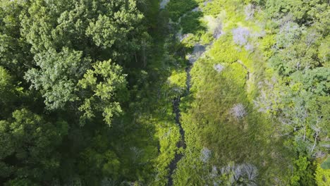 Tilting-to-a-bird's-eye-view-over-a-lagoon