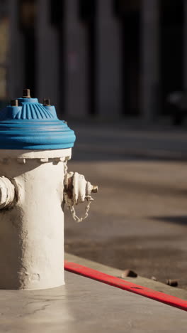 a white fire hydrant with a blue cap on a city street