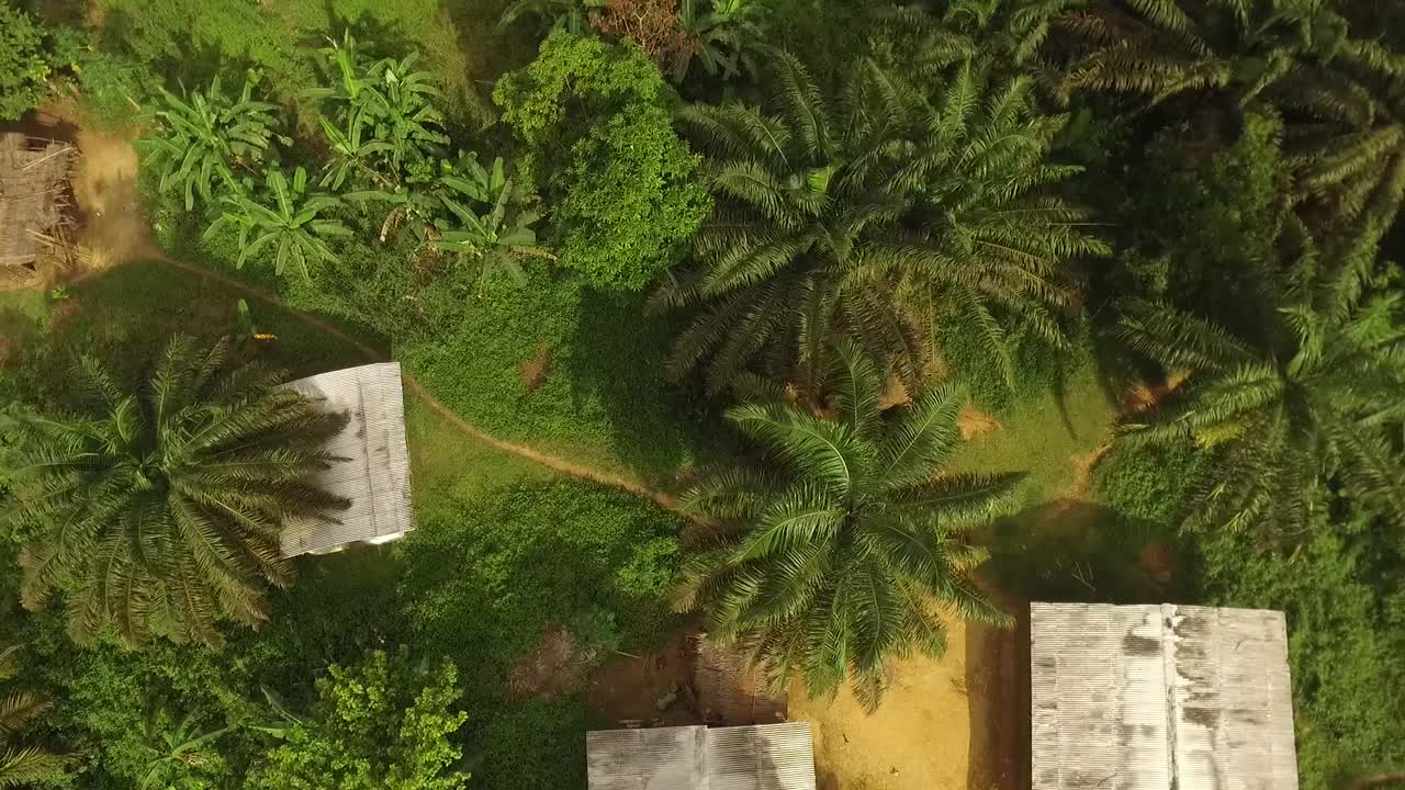 서아프리카 카메룬의 크리비에 있는 나무로 둘러싸인 작은 집들의 조감도