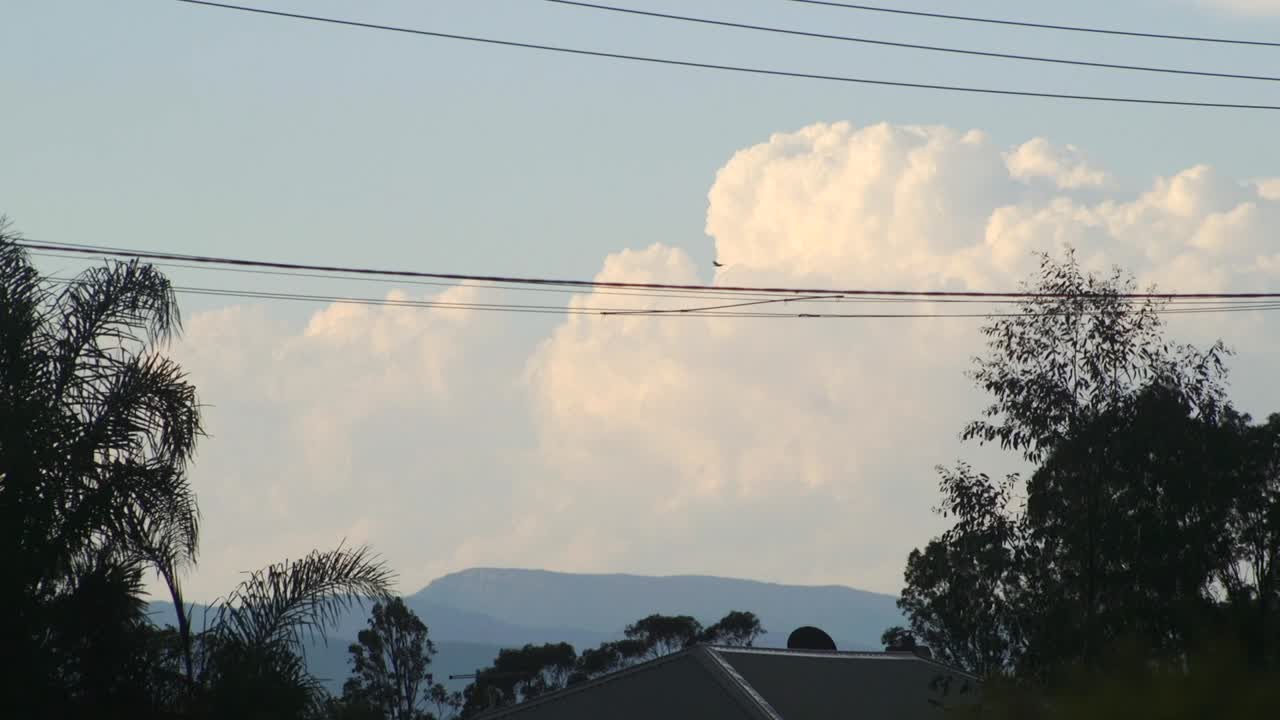 웰링턴 산 위에서 구름을 는 빅토리아 알프스 새는 오스트레일리아를 가로질러 날아 victoria gippsland maffra daytime