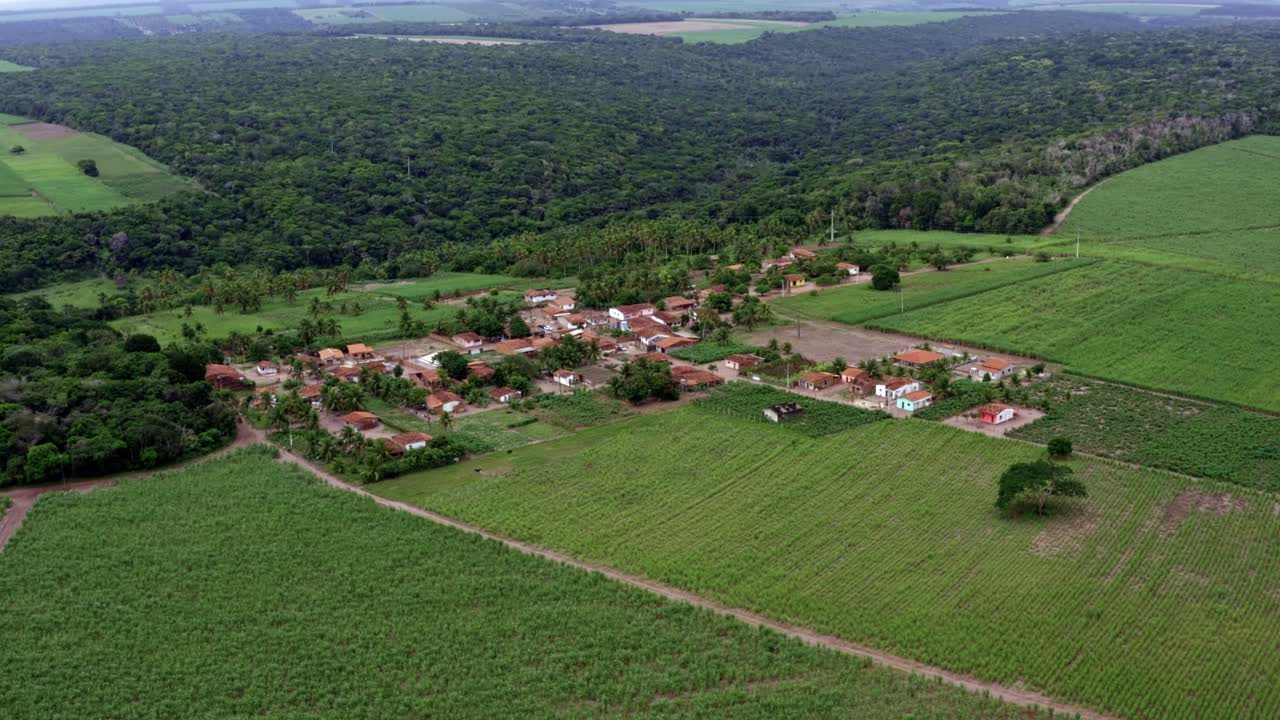 desciende una toma aérea de un pequeño pueblo agrícola rural rodeado de grandes campos de caña de azúcar verde tropical que crece en tibau do sul, rio grande do norte, brasil en un cálido día de verano