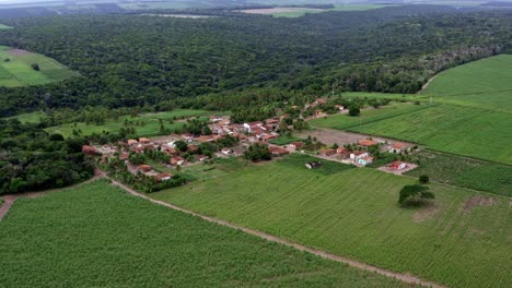 Descending-tilt-up-aerial-drone-shot-of-a-small-rural-farm-village-surrounded-by-large-fields-of-tropical-green-sugar-cane-growing-in-Tibau-do-Sul,-Rio-Grande-do-Norte,-Brazil-on-a-warm-summer-day