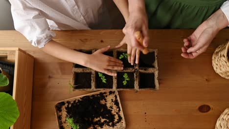 unrecognizable woman with child standing near wooden table with soil