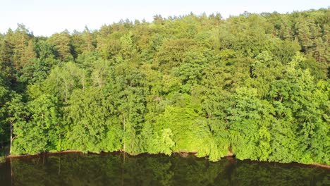 Ufer-Des-Łapino-Sees-In-Der-Kaschubei,-LKW-Aufnahme-Aus-Einer-Drohne