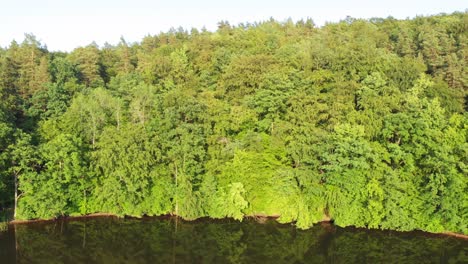 shore of lake łapino in kashubia truck shot from a drone