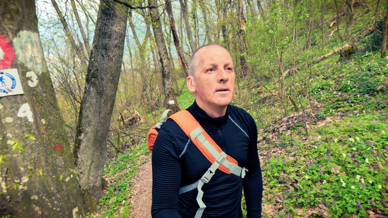 Authentic mature man walking through a blooming spring woodland path with purple flowers. Promoting personal health, fitness, mental well-being, and the calming power of nature for stress relief.