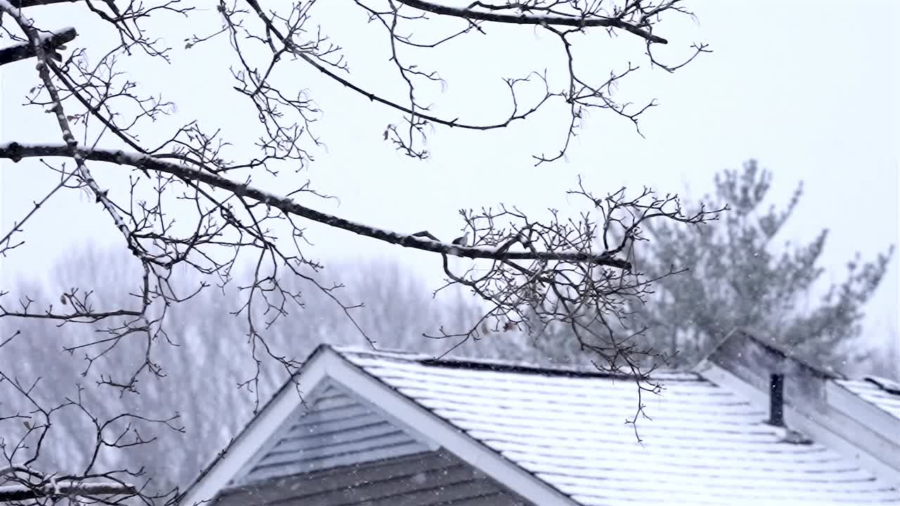 Snow covered roof and trees, winter neighborhood at daylight, snowfall in slow motion, background, static shot, copy space