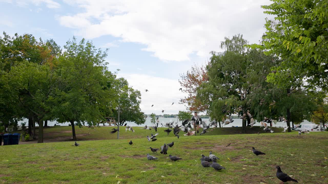 무성한 녹색 야외 공원 설정에서 슬로우 모션으로 새 무리를 통해 실행하는 남자