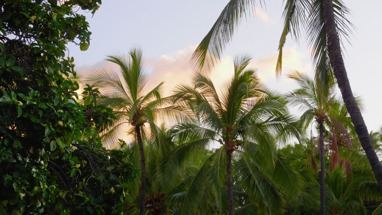 Mauna Lani Fish Ponds Reflections, Hawaii Mauna Lani