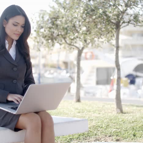 Business-Woman-Working-In-The-Park