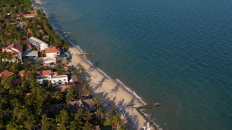 white sand beach coastline lined with palm trees