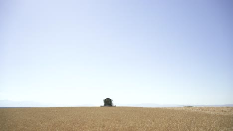 Agricultural-machine-in-filed-in-summer