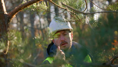 biólogo masculino tocando las hojas del árbol mientras sonríe y se siente feliz por ello, primer plano de mano