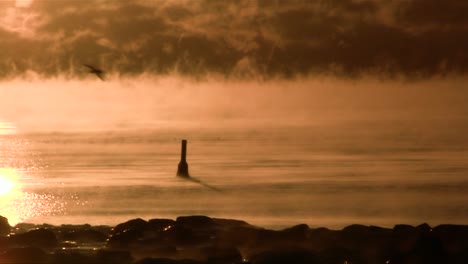 Hermosa-Niebla-Naranja-Mística-Se-Eleva-De-Un-Lago-En-La-Luz-De-La-Mañana-2