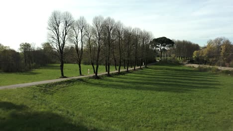 green meadow with path with trees on the sides