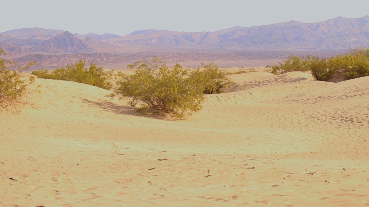 Gurun Pasir Mesquite Flat, Death Valley, California.