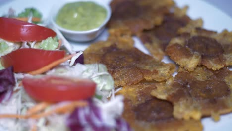 patacones with guacamole and salad
