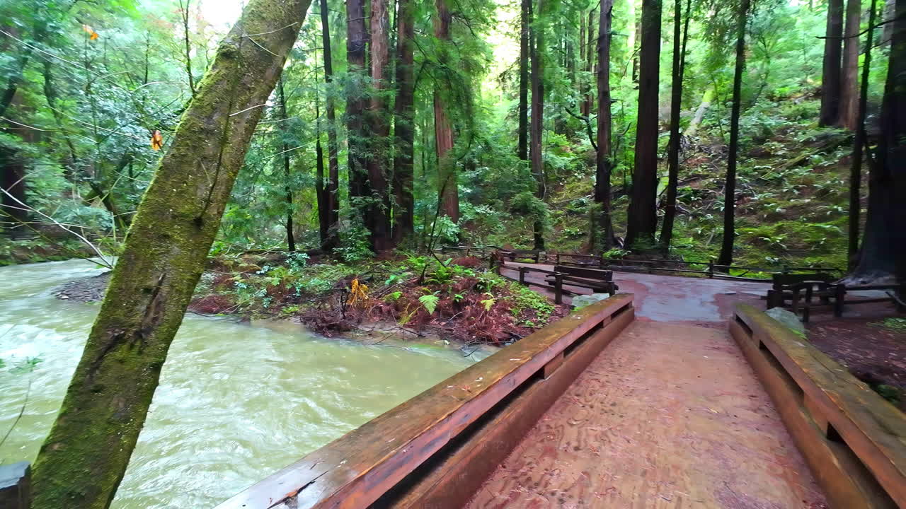 puente de madera sobre un río que fluye en el bosque de sequoias
